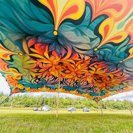 Feuerblume (für 10m x 15m)